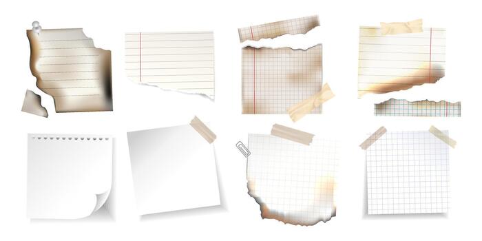 Collection of torn, burnt, and taped paper pieces including notebook, graph, and blank sheets with realistic textures for scrapbooking, digital collages, mockups, notes, presentation design. vector