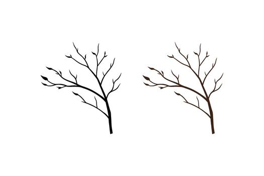Two trees with leaves on them are shown vector