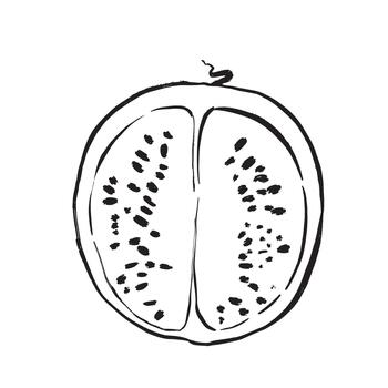 Textured botanical pomegranate seed outline for branding projects vector