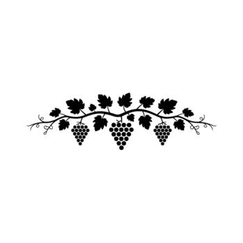 A silhouette featuring a symmetrical cluster of three bunches of grapes hanging from a curving vine with stylized leaves and delicate tendrils vector