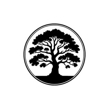Striking silhouette of a mature deciduous tree with full foliage enclosed within a clean double lined circular frame vector