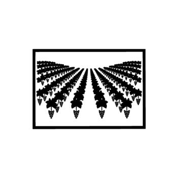 Stylized illustration of a vast vineyard with rows of grapevines featuring leaves and clusters of ripe grapes receding into the distance under a bright sky vector