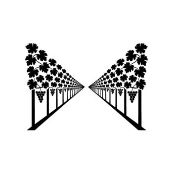 Stylized minimalist silhouette of a symmetrical vineyard path receding into the distance with rows of grapevines and clusters of grapes vector