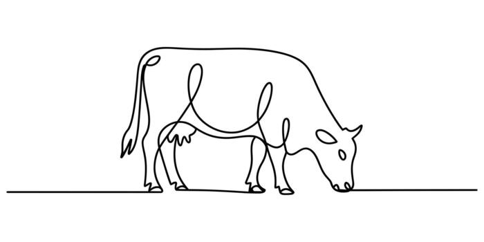 Continuous line drawing of a grazing farm cow on a white background vector