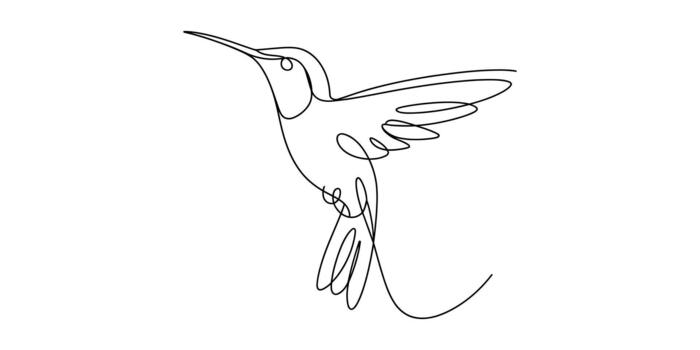 Graceful hummingbird single continuous line art drawing vector
