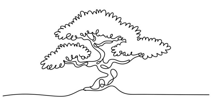 Continuous line art drawing of a bonsai tree with minimalist style vector