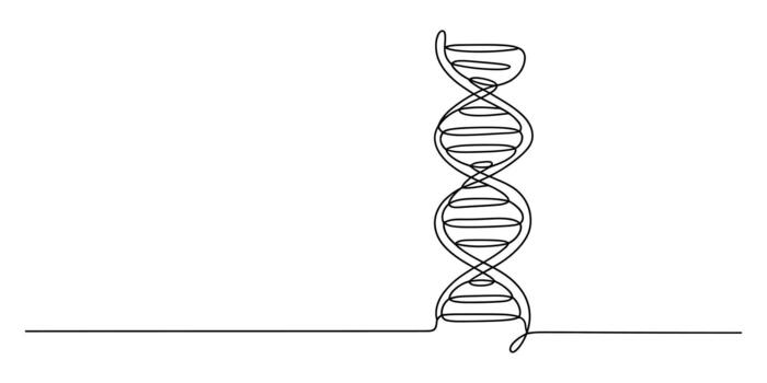 Continuous line art drawing of a dna helix structure, science vector