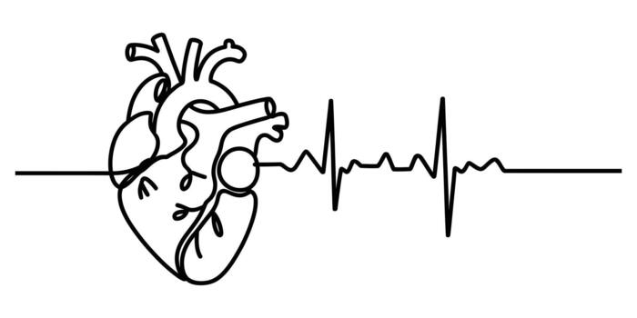 Continuous line art of human heart and ecg pulse waveform graphic vector