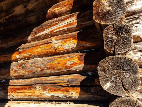 A close up of a log cabin with a clock on it photo