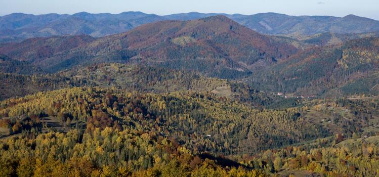 A view of a mountain range with trees and a plane photo