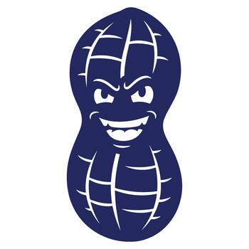 Grinning Cartoon Peanut Character with Edgy Eyes and Shell Texture on a White Background Illustration vector