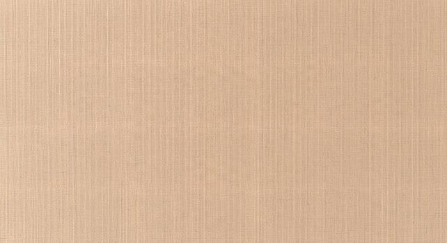 Beige Textured Fabric Background with Fine Vertical Lines for Design and Web Use photo