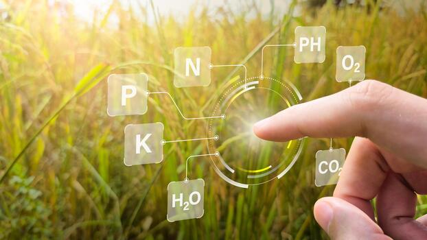 Smart Farming Interface with Nutrient and Environmental Element Mapping Over Crop Field photo