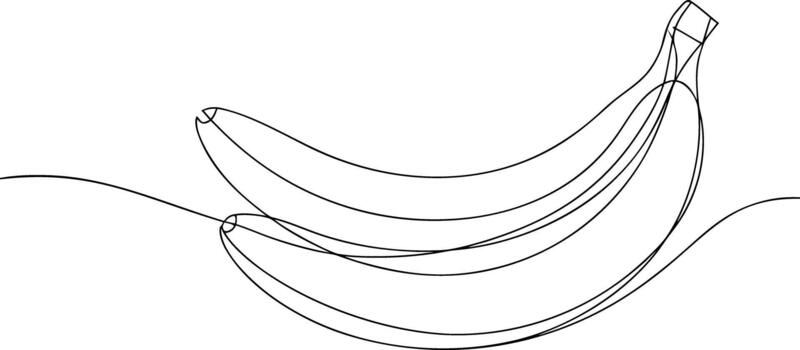 Two bananas drawn with a single continuous black line vector