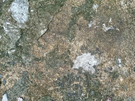 Old Weathered Wall Texture with Moss and Stains Background photo