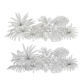 Decorative stylized botanical elements and lush foliage designs arranged in two horizontal layers for artistic compositions. vector