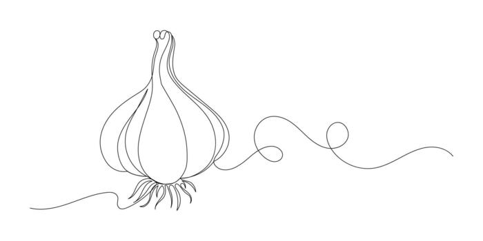 Garlic in continuous line art drawing style vector