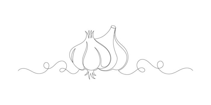 Two Garlic in continuous line art drawing style vector