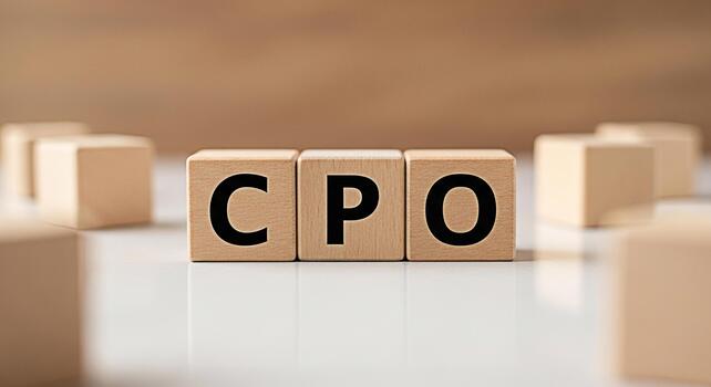 Wooden blocks displaying CPO on a white surface representing Cost Per Order in a neutral setting symbolizing financial strategy and business performance with a clean and minimalist aesthetic photo