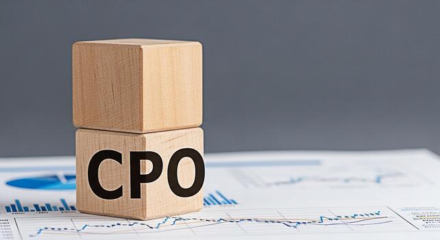 Wooden blocks displaying CPO on a financial report background representing the concept of Cost Per Order in a business setting symbolizing financial analysis and strategic decisionmaking for profitabi photo