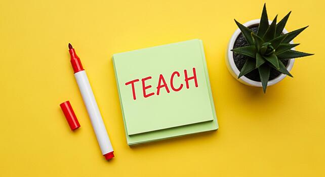 Bright yellow desk setup featuring a stack of green sticky notes with the word TEACH in red marker alongside a marker and a potted succulent conveying a cheerful and educational atmosphere photo