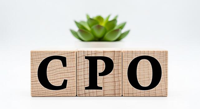CPO letters displayed on wooden blocks with a succulent plant in a bright studio setting representing cost per order marketing strategy and business optimization for ecommerce success photo