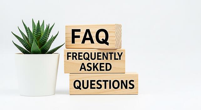 Wooden blocks displaying FAQ Frequently Asked Questions next to a potted succulent on a white background representing information resources and customer support in a clean modern setting photo