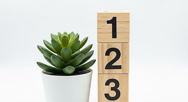 Succulent plant in a white pot standing next to wooden blocks displaying numbers 1 2 and 3 on a clean white background representing growth learning and a fresh start with a minimalist aesthetic photo