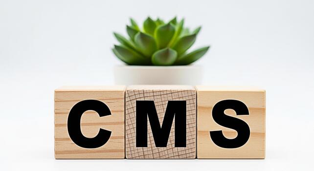 Wooden blocks displaying CMS on a clean white surface with a succulent plant representing content management system concepts and modern digital solutions for website creation and online presence photo