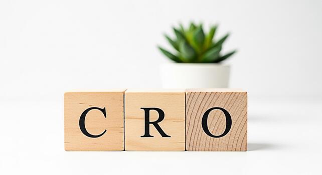Wooden blocks spelling CRO on a white table with a succulent in the background representing Conversion Rate Optimization and the importance of improving website performance for business growth photo
