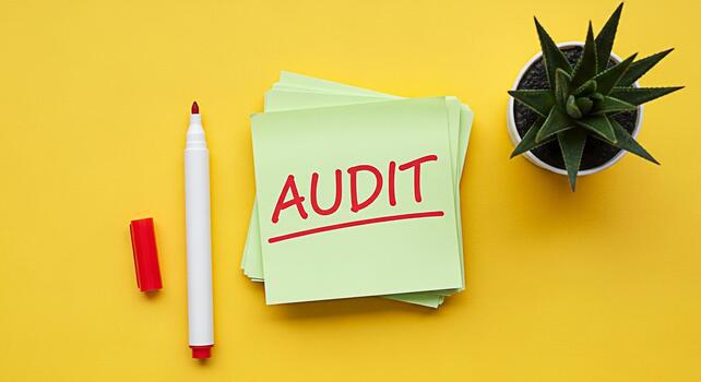 Stack of green sticky notes displaying the word Audit in red marker on a bright yellow background next to a succulent and marker representing financial review and business compliance photo
