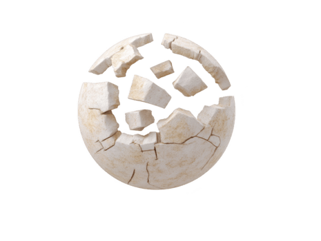 Cracked uovo conchiglia isolato su trasparente sfondo, rotto in multiplo pezzi, simboleggiante fragilità, vulnerabilità, e nuovo inizi, con realistico struttura e morbido illuminazione png