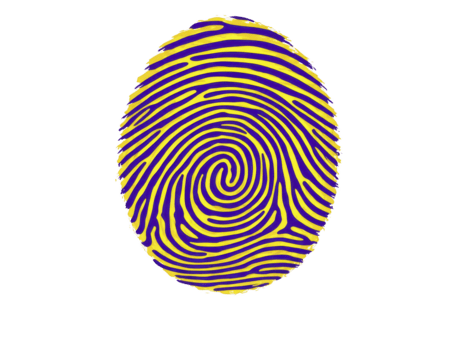 gul och lila fingeravtryck mönster stänga upp isolerat på transparent bakgrund symboliserar identitet säkerhet unikhet och biometrisk teknologi med modern abstrakt stil png