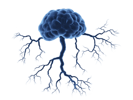 cérebro com ramificação neural rede, azul brilhando efeito, simbolizando inteligência, criatividade, e complexo pensamento, isolado em transparente fundo, evoca curiosidade e inovação png
