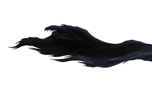 nero fluente onda, astratto spazzola ictus, dinamico movimento, artistico disegno, isolato su trasparente sfondo, moderno fluido forma, creativo elemento per digitale arte png