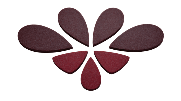 rood bloemblad vormig abstract ontwerp met getextureerde oppervlak, geregeld in symmetrisch bloemen patroon, geïsoleerd Aan transparant achtergrond, modern en minimalistisch stijl png