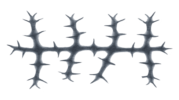 metalen doorn Afdeling abstract symmetrisch patroon geïsoleerd Aan transparant achtergrond scherp stekels donker zilver kleur modern ontwerp natuur geïnspireerd artistiek gespannen dramatisch png