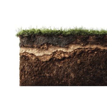 suolo strati siamo visibile con erba su superiore, illustrare il della terra struttura e composizione nel un' naturale ambientazione. png