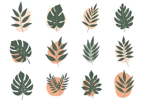Stylized tropical leaves and abstract shapes in muted green and peach tones create a modern botanical illustration for backgrounds and design elements. vector