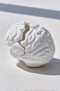 Broken ceramic brain sculpture on a minimalist surface, showcasing intricate textures and a unique design, symbolizing fragility and creativity in art and thought photo
