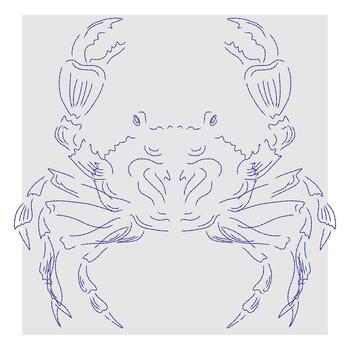a crab with two legs and claws on a white background vector
