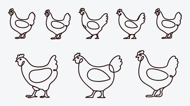 Continuous line drawing pattern of chicken for backgrounds and designs vector