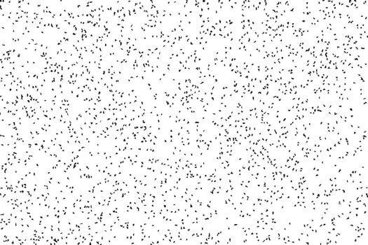 Abstract monochromatic textured background with a dense chaotic pattern of fine black lines and dots on a white canvas vector