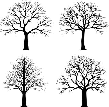 Set of Bare Tree Silhouettes with Branches for Nature Art and Design Use vector