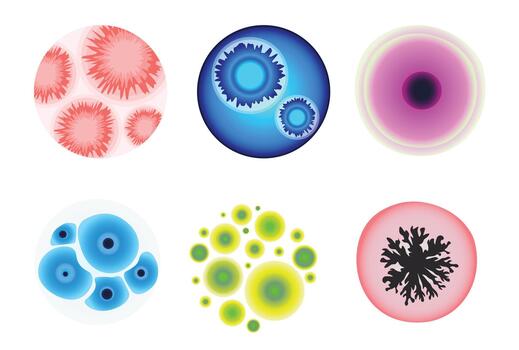 Set of Mold in Lab Microscope View. Different Germs in Laboratory Petri Dish. Biochemistry Analysis, Medicine Test vector