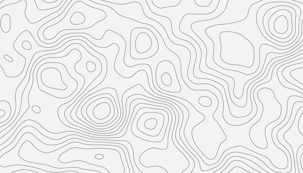 Abstract White Topographic Line Pattern Background vector