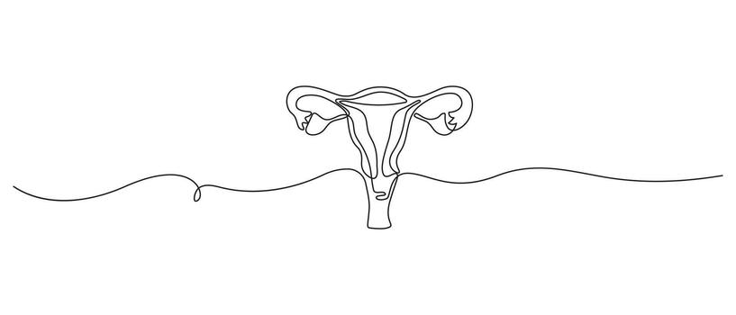 continuo línea dibujo de hembra reproductivo sistema con soltar vector