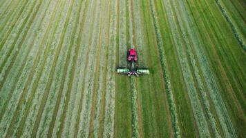jordbruks maskineri Arbetar i fält. modern traktor med autopilot, navigering systemet samlar klippt gräs i gräsklippning, rad. foder förberedelse för mejeri jordbruk. förberedelse hösilage, bondens rutin. video