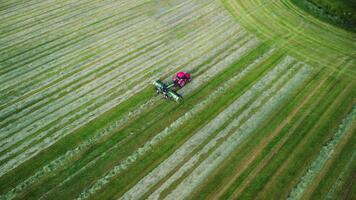 röd traktor arbetssätt i fält, vändning och torkning klippt gräs. antenn se av rör på sig traktor i de fält i sommar. foder förberedelse, hösilage för mejeri jordbruk. framställning hösilage, en bondens rutin. video