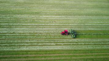 traktor arbetssätt i fält. torkning, vändning hö. framställning klippt gräs för skörd med kombinera. foder förberedelse för mejeri jordbruk. framställning hösilage, bondens rutin. antenn se av rör på sig traktor. video
